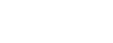 DENTSU INC.